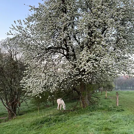 U Zabaka Lodge Netolice