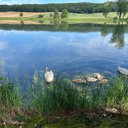 U žabáka Netolice
