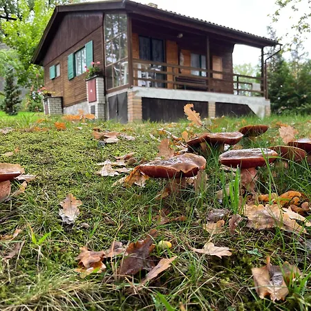 Lodge U Zabaka Netolice