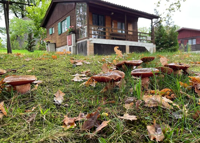 山林小屋 U Zabaka Netolice